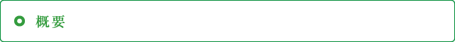 概要