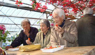 デイサービスの風景1